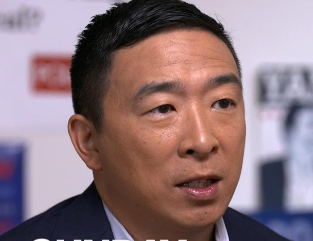 Andrew Yang holds a double-digit lead in the Democratic primary for New York City mayor