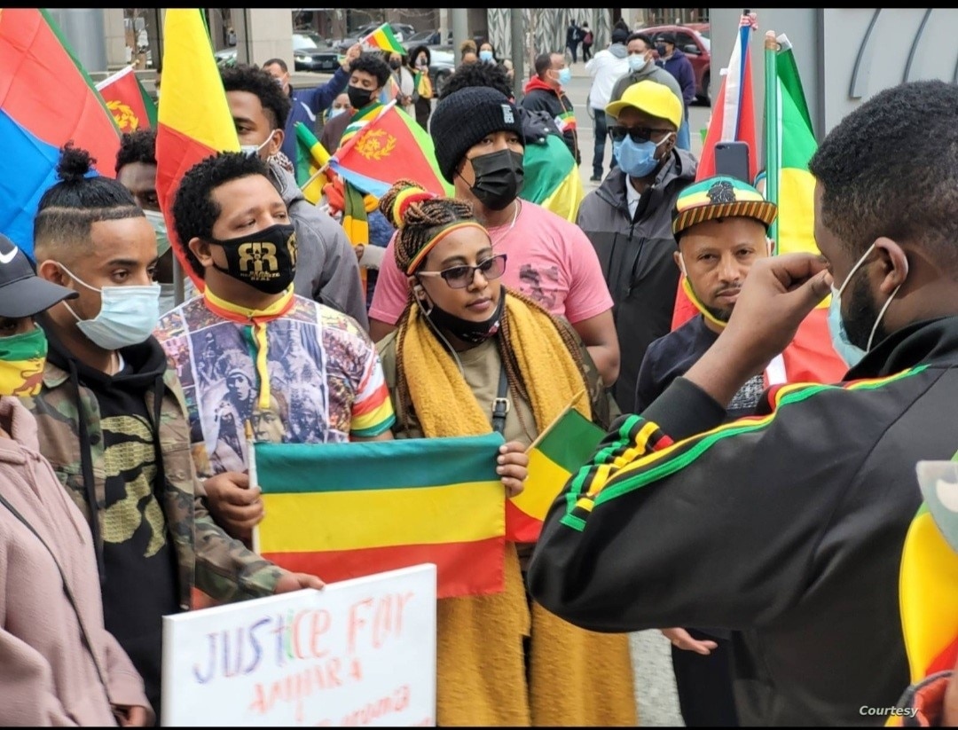Ethiopians and Eritreans in Diaspora Demonstrate in Support of their Home Countries, Toronto, March 11, 2021