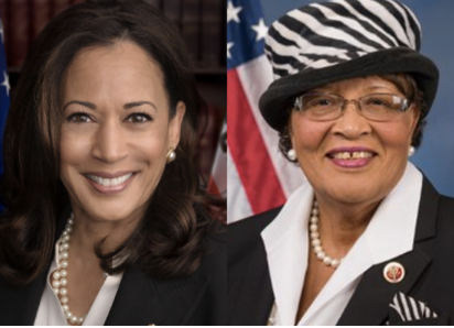 Vice-President Kamala Harris, along with Rep. Alma Adams, are pushing bill to address the racial disparity of Black maternal mor