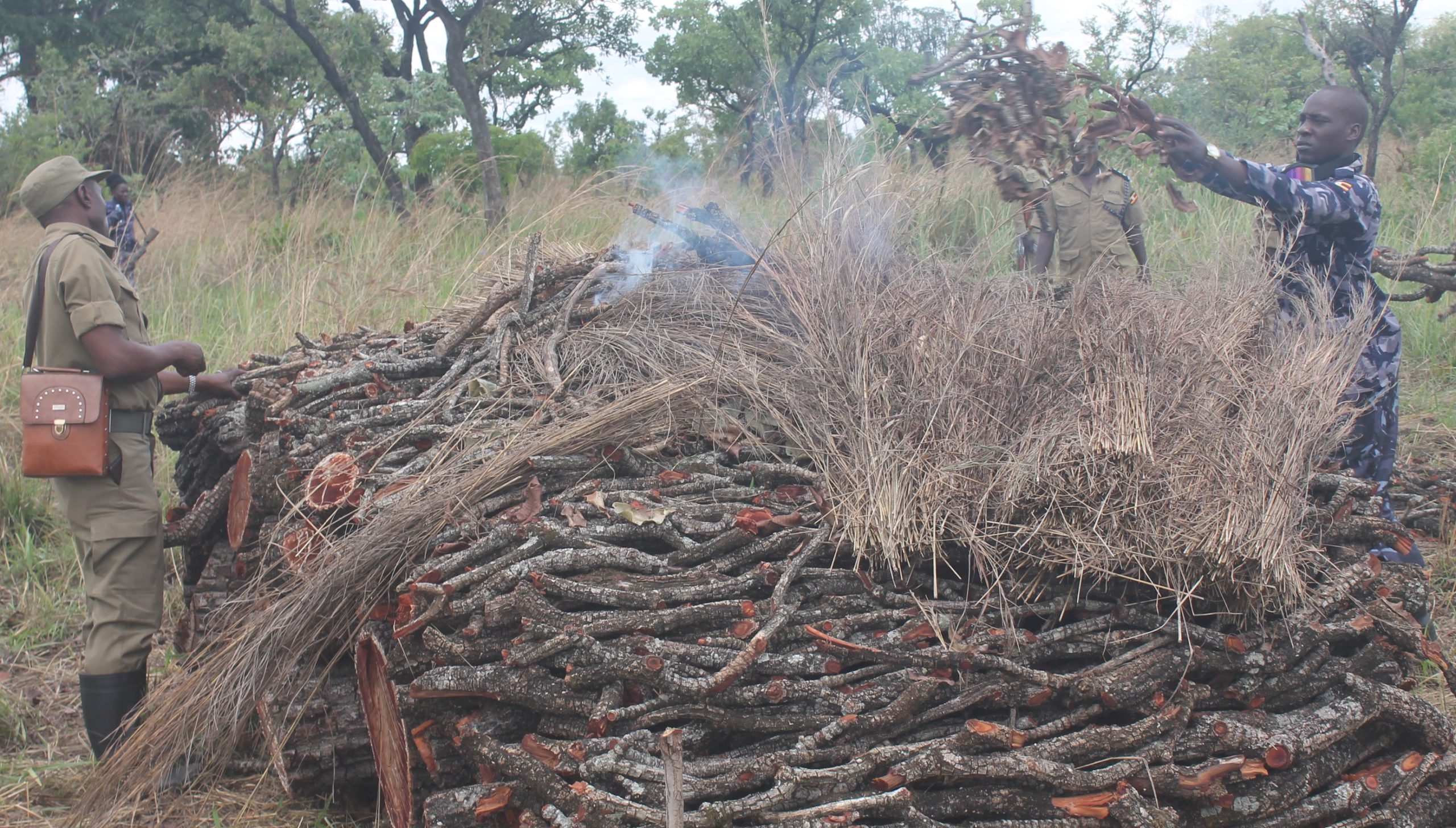 environment, charcoal burning, northern uganda
