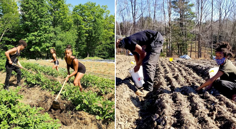 federal dollars earmarked for Black farmers