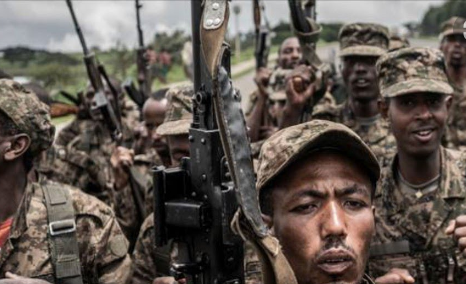 West's motives in the Ethiopia war conflict