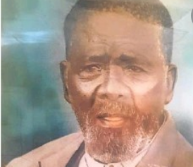 Chief Falo Mgudlwa: An Inspirational African Giant