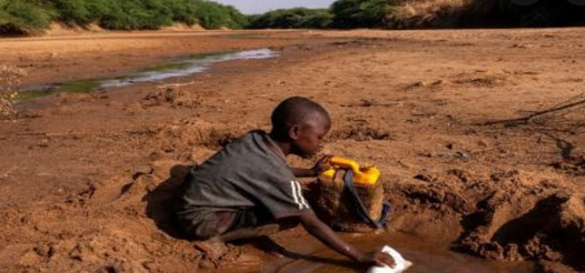 UNICEF warned that children in the Horn of Africa and the vast Sahel region “could die in devastating numbers”