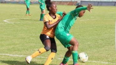 Africa's four qualifiers for next year's Women's World Cup
