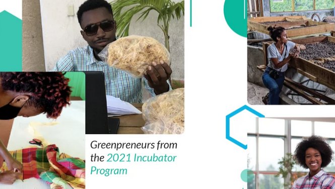 second cohort of the Eastern Caribbean Green Entrepreneurship Incubator programme. 