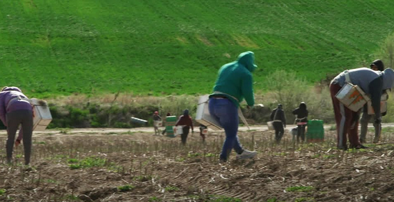 racketeering and forced labor conspiracy that victimized Mexican H-2A agricultural workers