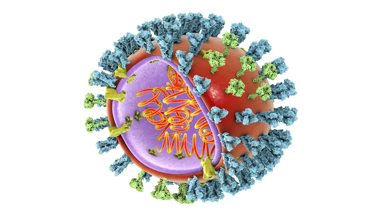 Avian Influenza Virus Detected in California Raw Milk