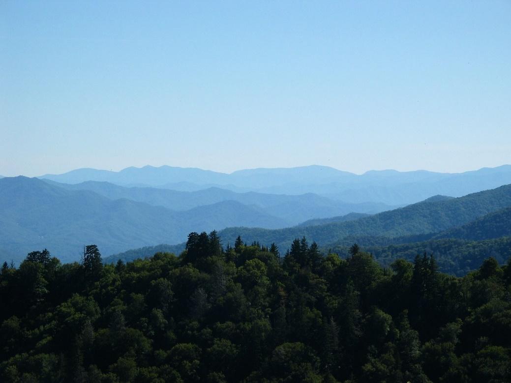 Experience the Best Fall Foliage Views in Tennessee’s Smoky Mountains