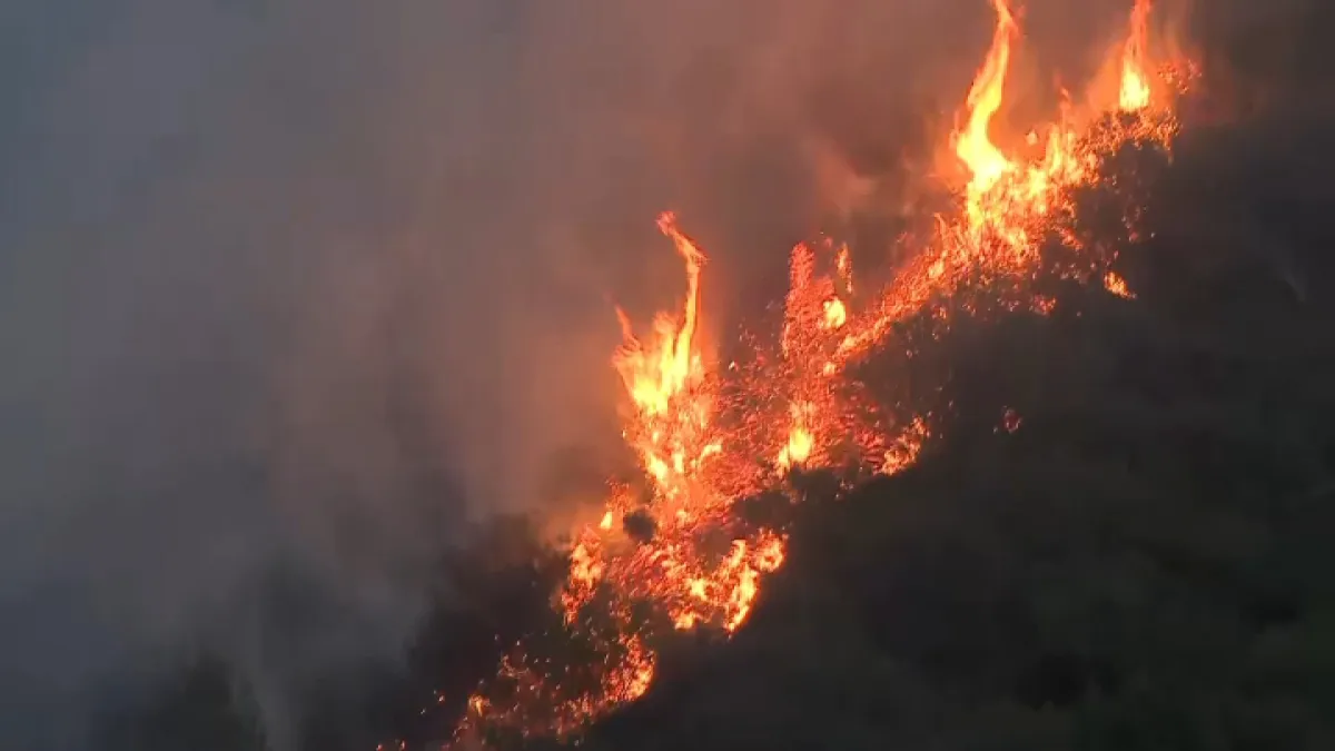 Malibu Fire