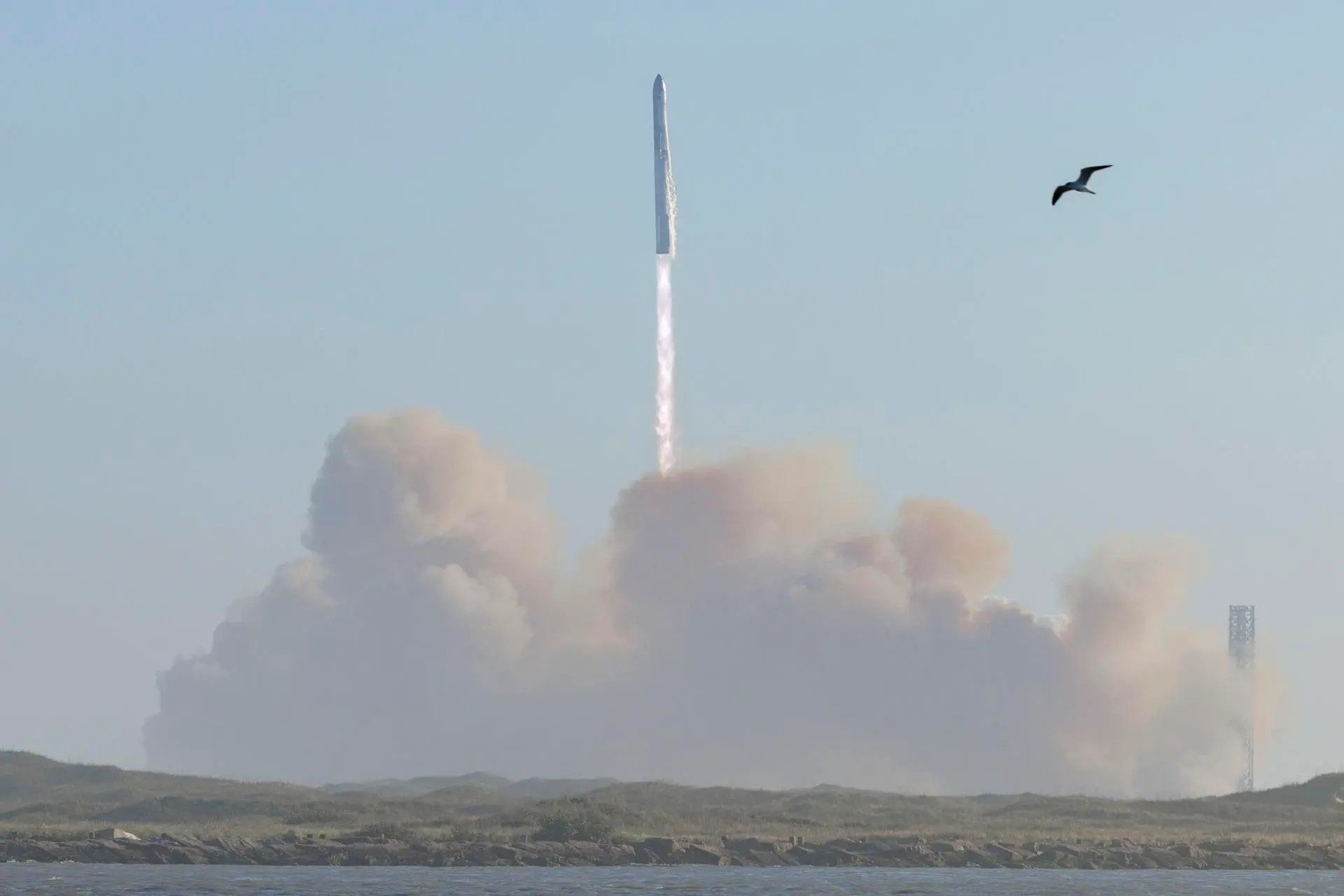 SpaceX Starship Rocket