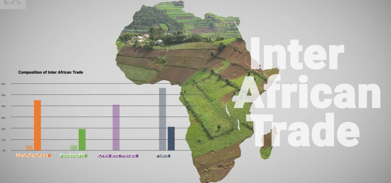 Calls Raising To Grow And Develop Intra-Africa Trade