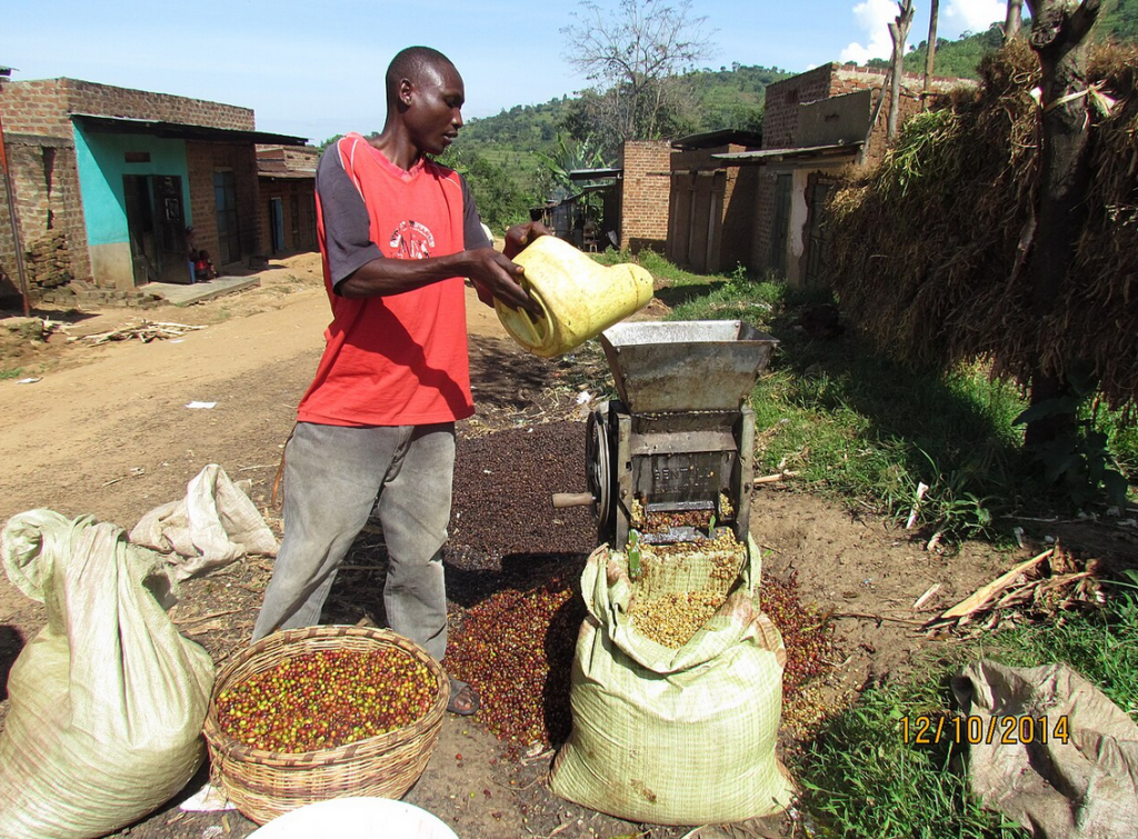 To Develop, Uganda Must Produce What it Consumes
