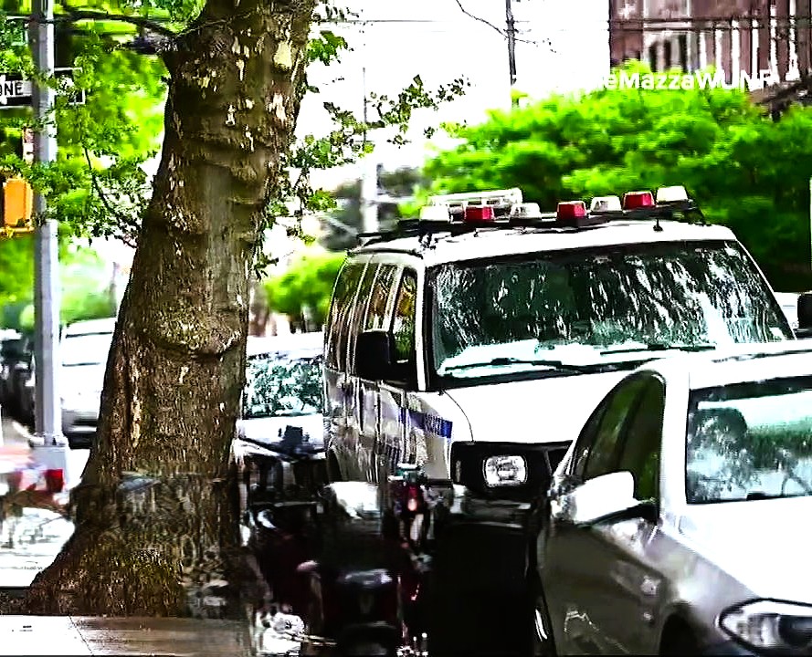 NYPD Arrests Brooklyn Man Accused Of Raping His Neighbor