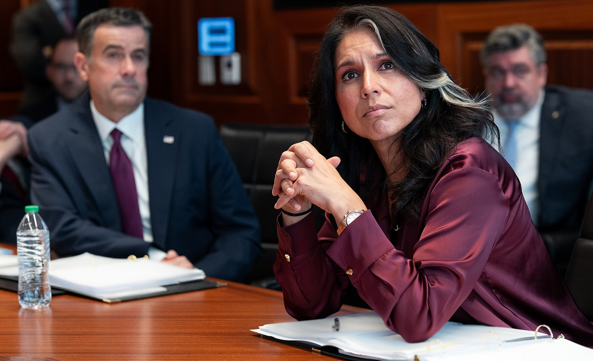Tulsi Gabbard, Trump Warmonger And Aspiring Election-Rigger, Resigns