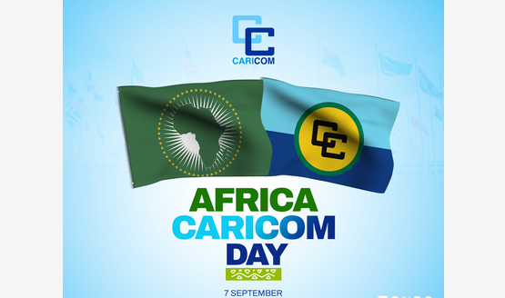 Africa-CARICOM Day Message 2026 Message: Forging A Global Africa Coalition