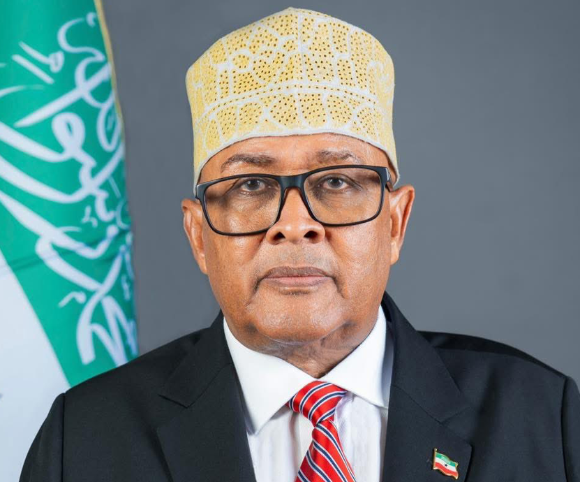 Somaliland President Seeks U.S. Recognition. Offers Access To Mineral And Port Resources